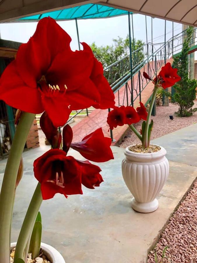 Hotel Blumenpark Rio Negro  Екстер'єр фото